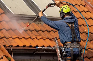 Démoussage et hydrofuge de toiture à Arvillard